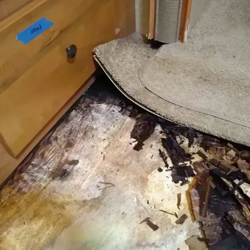 Wood Floor Water Damage in Sunset Hills, MO